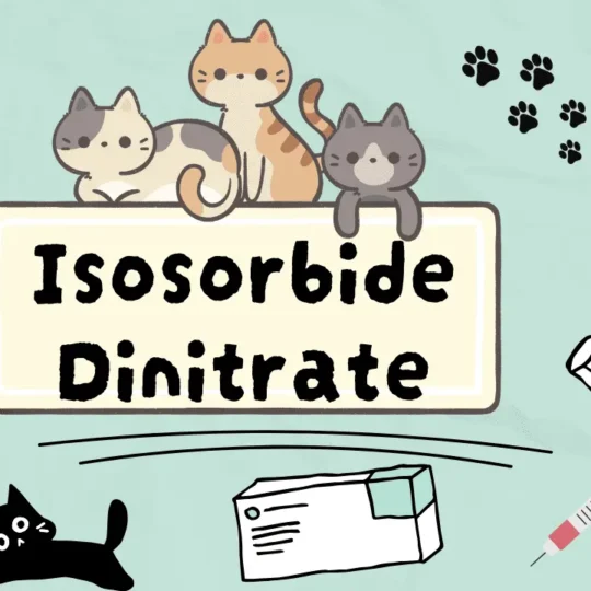 إيسوسوربيد دينيترات للقطط