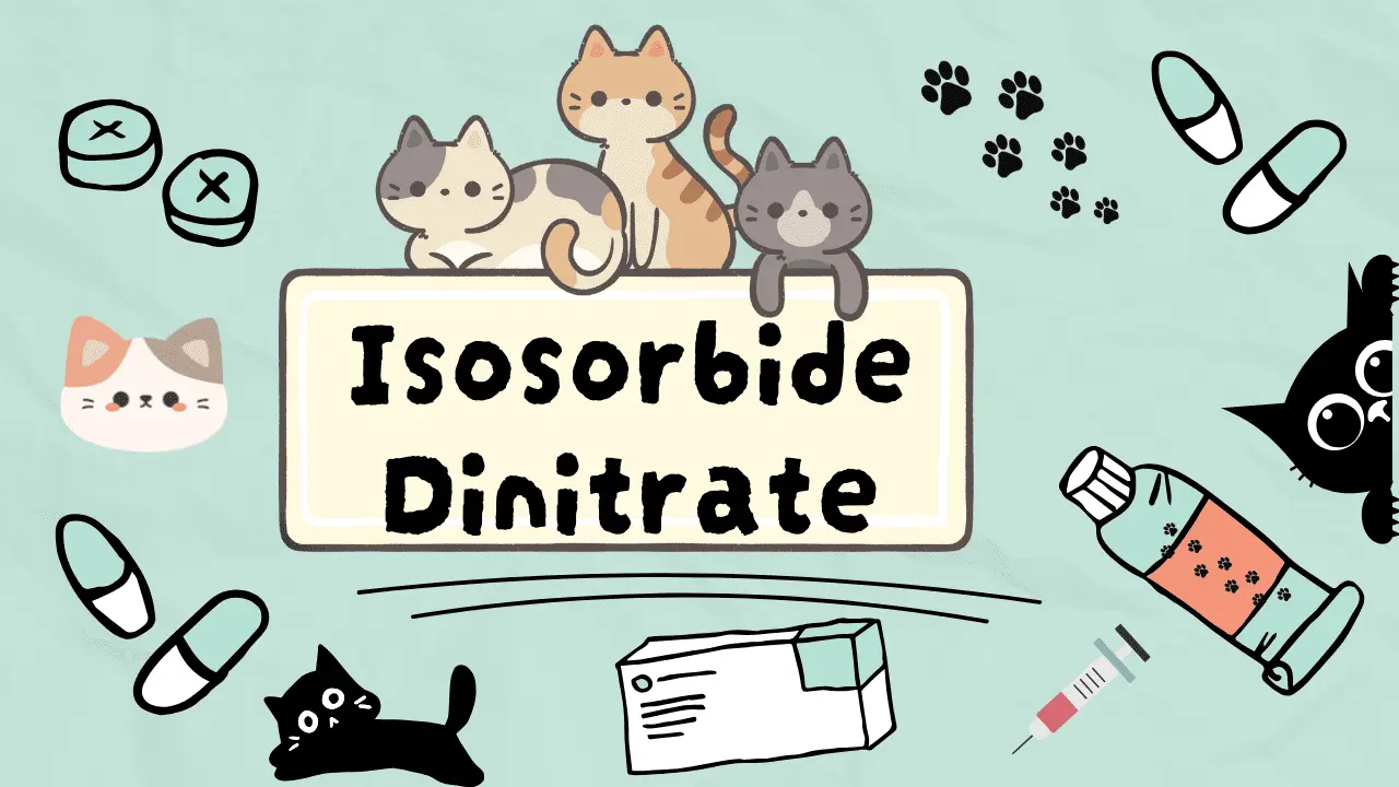 إيسوسوربيد دينيترات للقطط