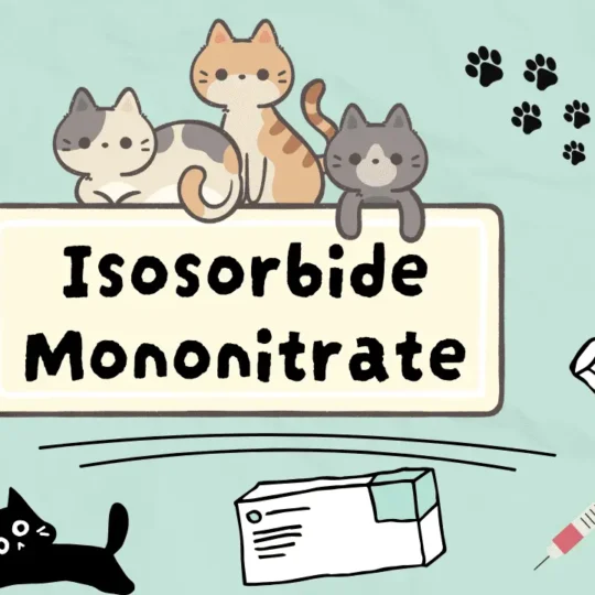 إيزوسوربايد مونونترات للقطط