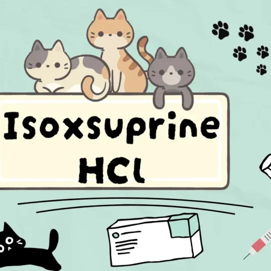 إيسوكسوبرين هيدروكلوريد للقطط