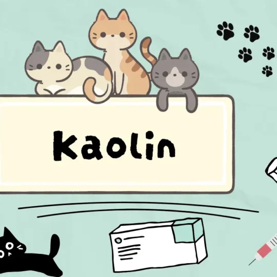 الكاولين للقطط