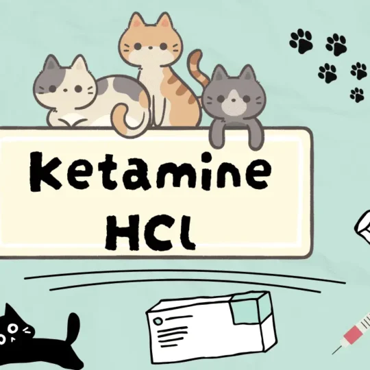 كيتامين هيدروكلوريد للقطط