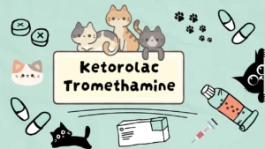 كيتورولاك تروميثامين للقطط