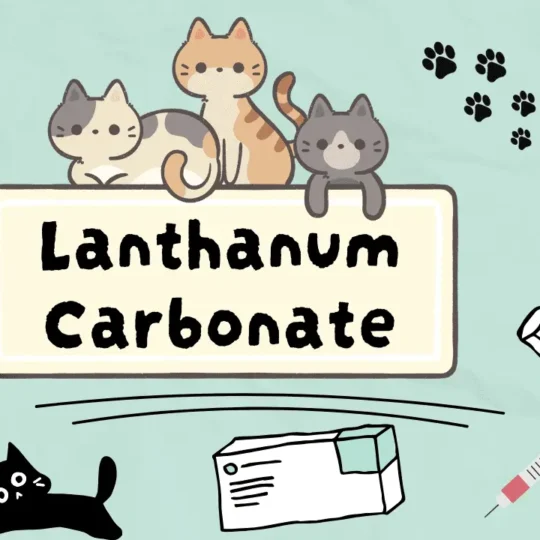 لانثانوم كربونات للقطط