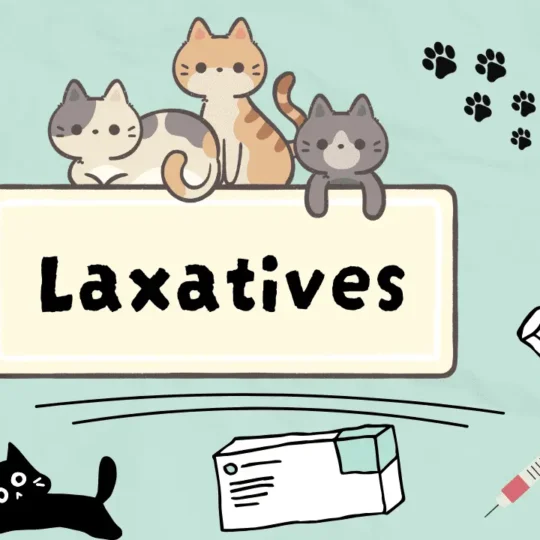 الملينات للقطط