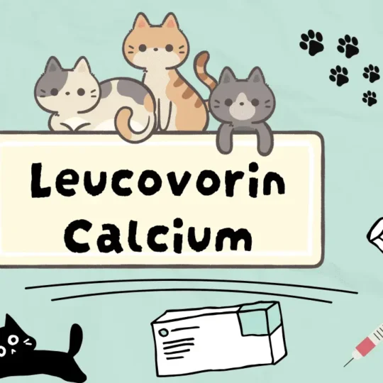 ليكوفورين الكالسيوم للقطط