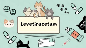 ليفيتيراسيتام للقطط