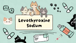 ليفوثايروكسين الصوديوم للقطط