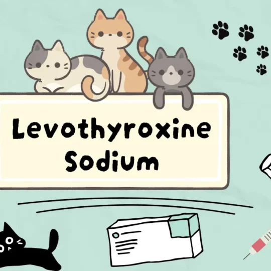 ليفوثايروكسين الصوديوم للقطط