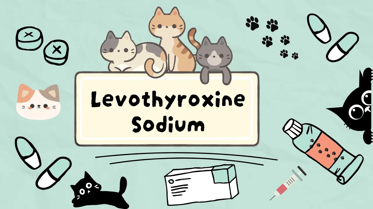 ليفوثايروكسين الصوديوم للقطط