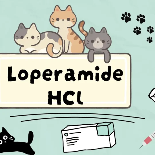 لوبراميد للقطط
