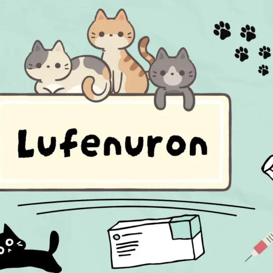 لوفي نورون للقطط