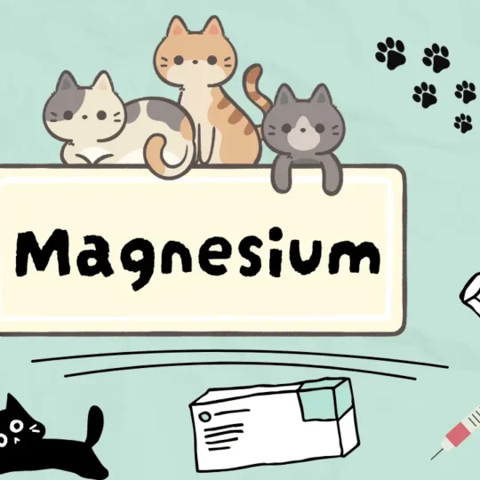 المغنيسيوم للقطط