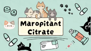 ماروبيتان سيتريت للقطط