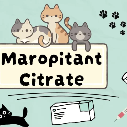 ماروبيتان سيتريت للقطط