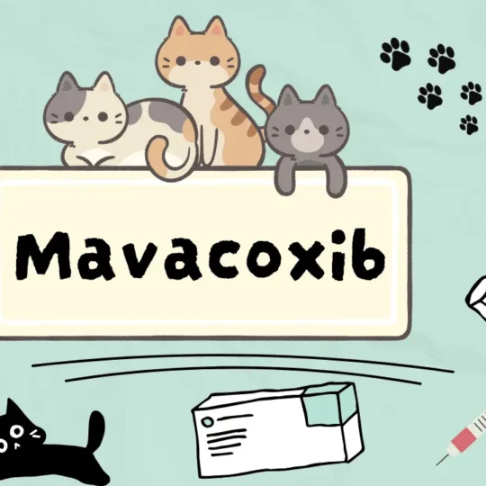 مافاكوكسيب للقطط