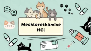 ميكلورثامين هيدروكلوريد للقطط