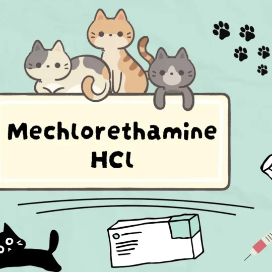 ميكلورثامين هيدروكلوريد للقطط