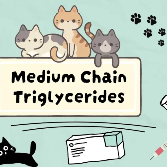 الدهون الثلاثية متوسطة السلسلة للقطط