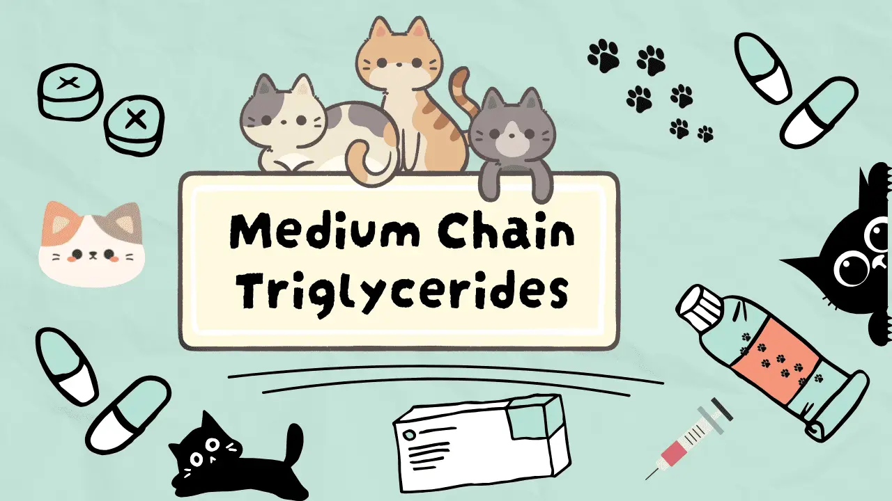 الدهون الثلاثية متوسطة السلسلة للقطط