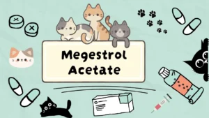 ميجسترول أسيتات للقطط