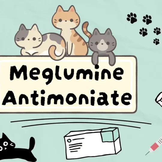 ميغلومين أنتيـمونييت للقطط