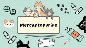ميركابتوبورين للقطط