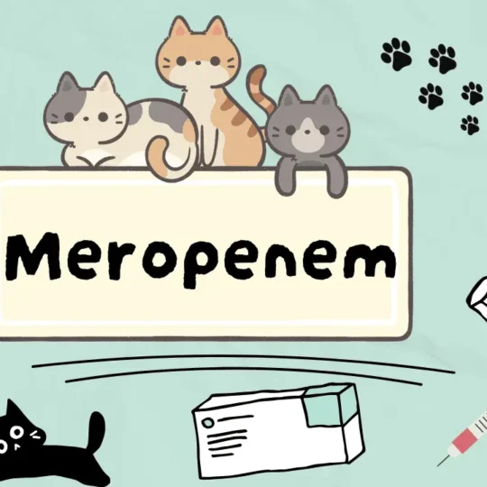ميروبينيم للقطط