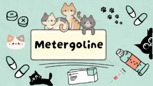 الميترغولين للقطط