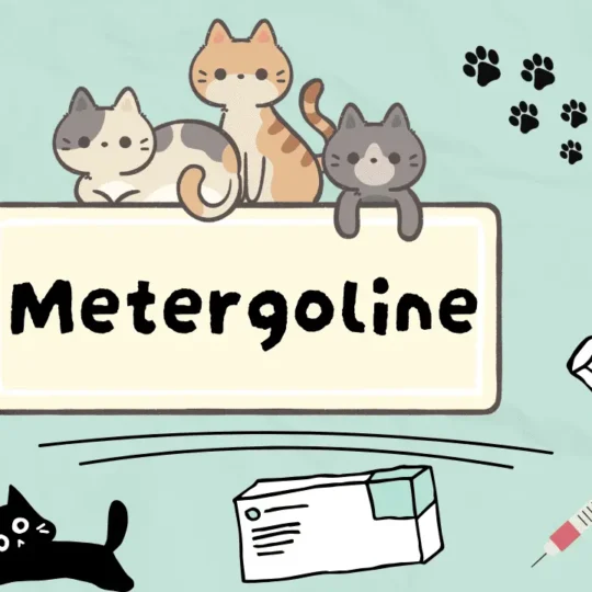 الميترغولين للقطط