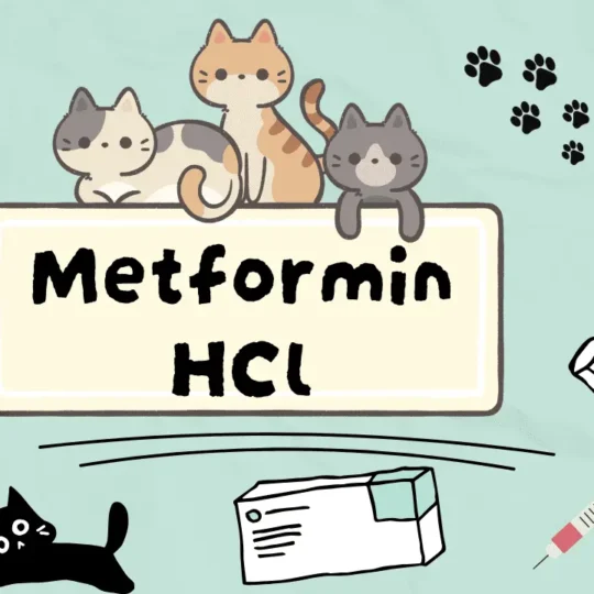 ميتـفورمين هيدروكلورايد للقطط