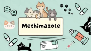ميثيمازول للقطط