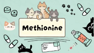 الميثيونين للقطط