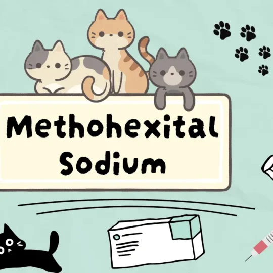 ميثوهيكسيتال صوديوم للقطط