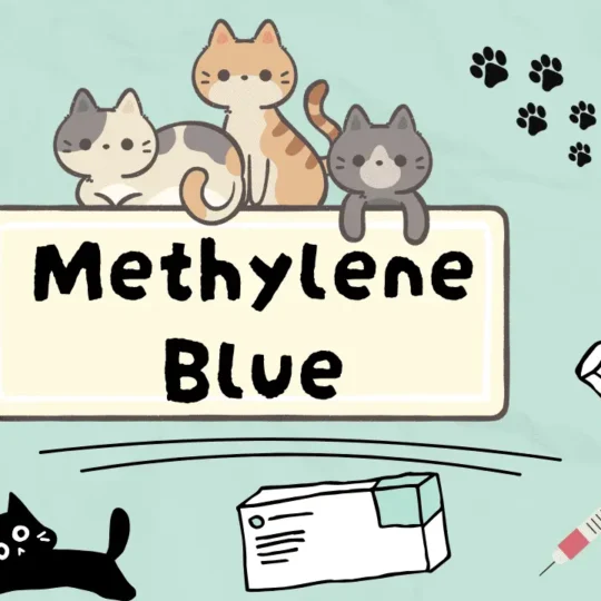 ازرق الميثيلين للقطط