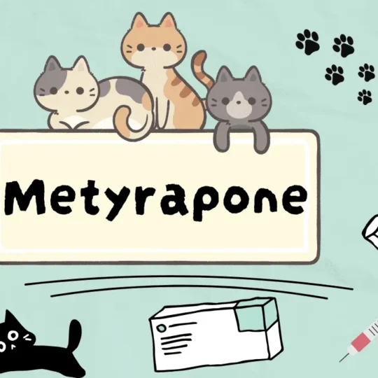 ميتيرابون للقطط