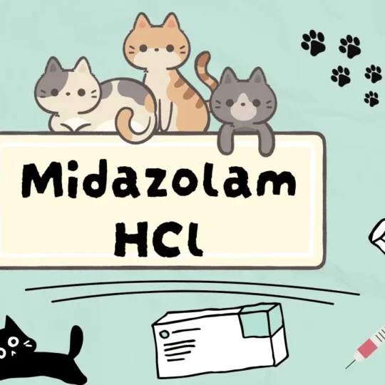 ميدازولام هيدروكلوريد للقطط