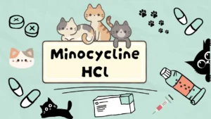 مينوسايكلين هيدروكلورايد للقطط