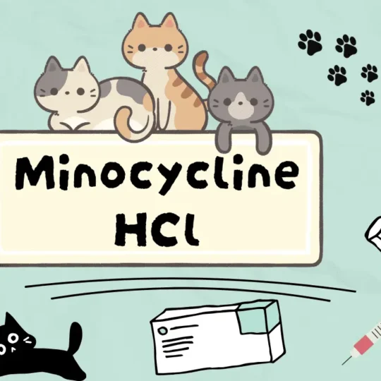مينوسايكلين هيدروكلورايد للقطط