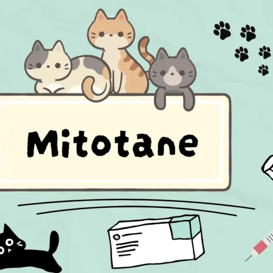 ميتوتان للقطط