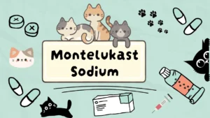 مونتيلوكاست صوديوم للقطط