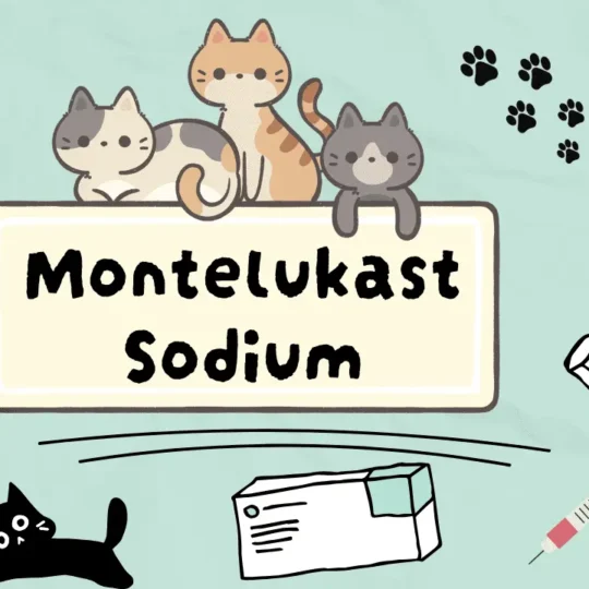 مونتيلوكاست صوديوم للقطط