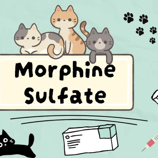 مورفين سلفات للقطط