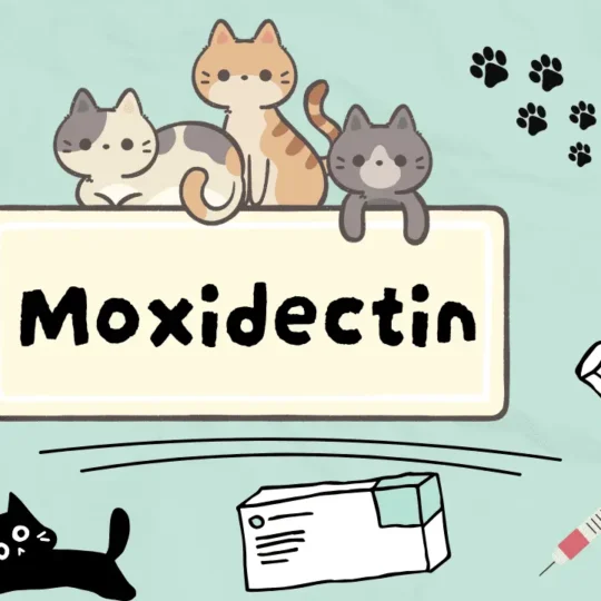 موكسيدكتين للقطط