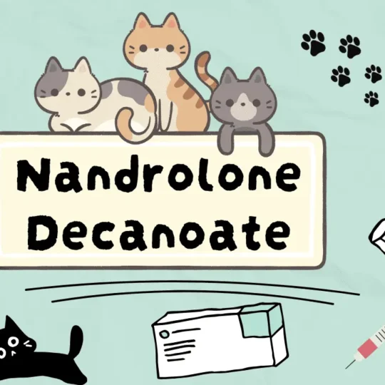 ناندرولون ديكانوات للقطط