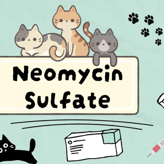 نيومايسين سلفات للقطط
