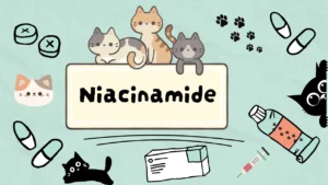النياسيناميد للقطط