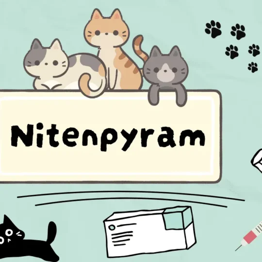 نيتنبايرام للقطط