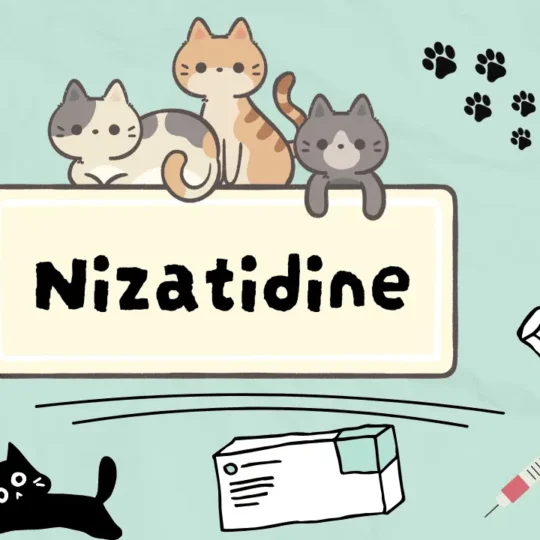 نيزاتيدين للقطط