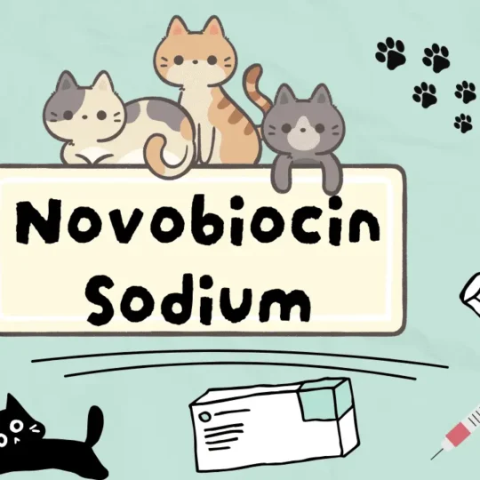 نوفوبيوسين الصوديوم للقطط